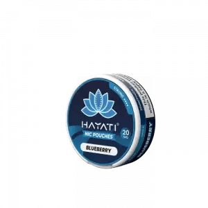 Hayati Nicotine Pouches Box of 10 - Vapewholesalesupplier